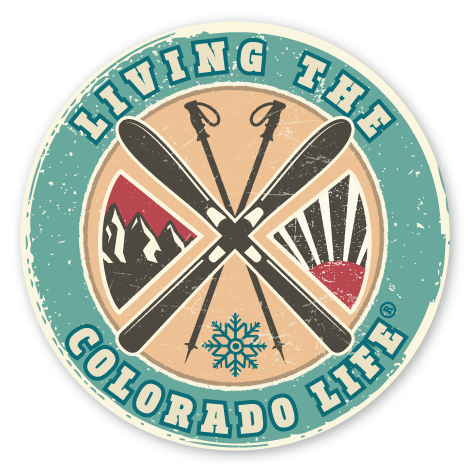 vintage ski sticker