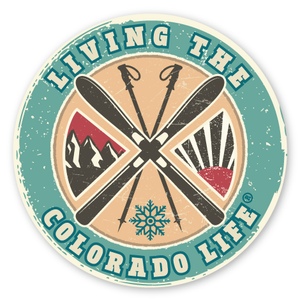 vintage ski sticker