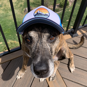 colorado trucker hat - mountain patch